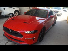 BUY FORD MUSTANG 2020, Greater Quad City Auto Auction